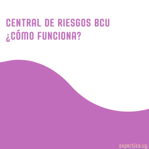  BCU Central de Riesgos.