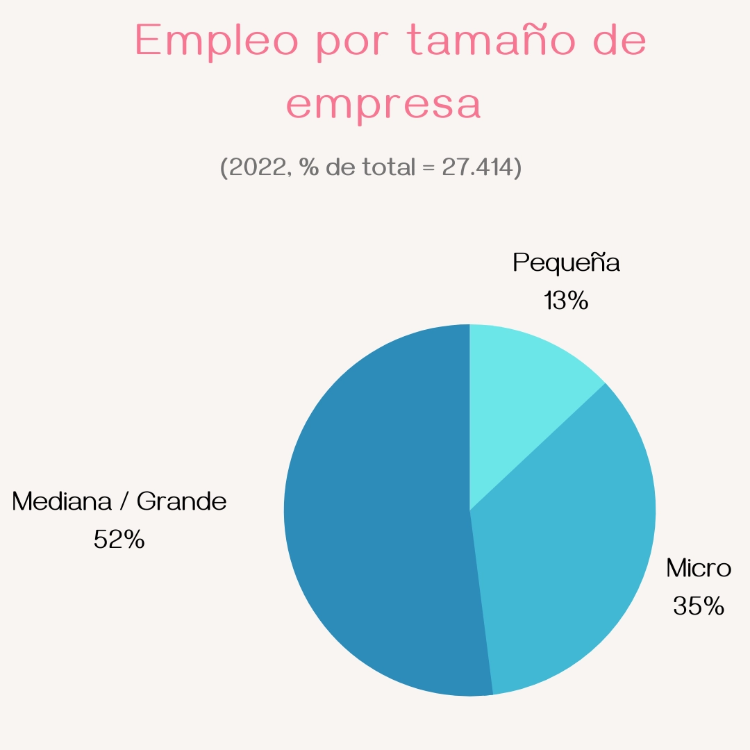Gráfica con el empleo en software en Uruguay, en función del tamaño de las empresas.